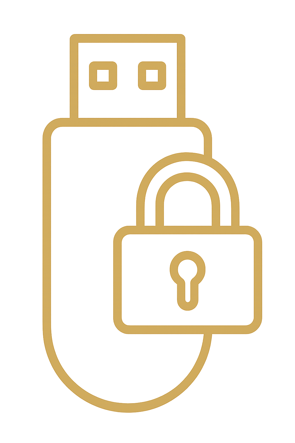 USB Vaults
